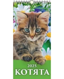 (0625003) (20%)"Котята"(165*335).К-рь настен. перекид.с ригелем(2025) (4610138647211)