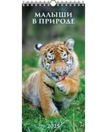 (0625004) (20%)"Малыши в природе"(165*335).К-рь настен. перекид.с ригелем(2025) (4610138647228)