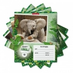 ТЕТРАДЬ УЧЕНИЧЕСКАЯ А5, 12Л, ERICHKRAUSE &laquo;BABY JUNGLE&raquo;, КЛЕТКА, СКОБА, МЕЛОВАНЫЙ КАРТОН, СКРУГЛЕНЫЕ