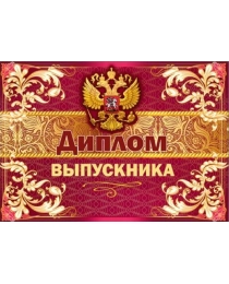 Диплом выпускника 3200284