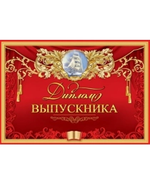 Диплом выпускника 3200317