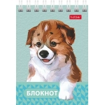 БЛОКНОТ HATBER «ГЛАЗКИ, УШКИ, НОСИК», А7, 40Л, КЛЕТКА, СПИРАЛЬ, РИСУНОК, АССОРТИ 40Б7В1гр-081186 БЛОКНОТ HATBER «ГЛАЗКИ, УШКИ, НОСИК», А7, 40Л, КЛЕТКА, СПИРАЛЬ, РИСУНОК, АССОРТИ 40Б7В1гр-081186