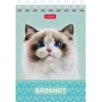 БЛОКНОТ HATBER «ГЛАЗКИ, УШКИ, НОСИК», А7, 40Л, КЛЕТКА, СПИРАЛЬ, РИСУНОК, АССОРТИ 40Б7В1гр-081186