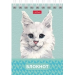 БЛОКНОТ HATBER «ГЛАЗКИ, УШКИ, НОСИК», А7, 40Л, КЛЕТКА, СПИРАЛЬ, РИСУНОК, АССОРТИ 40Б7В1гр-081186
