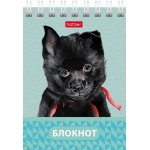 БЛОКНОТ HATBER «ГЛАЗКИ, УШКИ, НОСИК», А7, 40Л, КЛЕТКА, СПИРАЛЬ, РИСУНОК, АССОРТИ 40Б7В1гр-081186