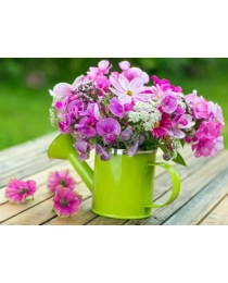 Алмаз. мозаика(клас.)20х30см,без подр.,с част.зап.(22 цв.) Нежные цветы в зелёной лейке(Арт. ACF107)