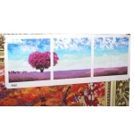 Набор для раскрашивания по номерам 50*50 см, ТРИПТИХ (3 штуки в наборе), P081