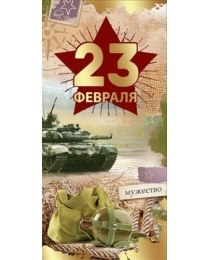 23 февраля 6200333