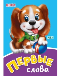 ЦК МИНИ. ПЕРВЫЕ СЛОВА
