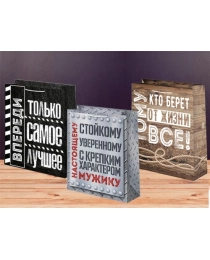 Пакет подарочный 12х15 лам.матовый микс Мужская (уп. по 12 шт.) ч46342