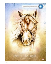 Папка для рисования А4, 10л. ЛОШАДЬ (10-1103) цветная обл. вн.блок 120г/м2