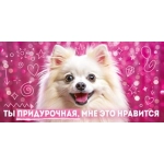Конверт для денег "Ты придурочная, мне это нравиться" 9.0000085