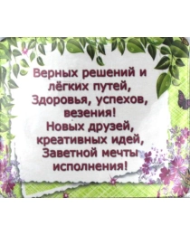 Виниловый магнит "Верных решений и лёгких путей"  (пакетик с европодвесом) Т-3317