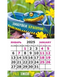 Календарь-магнит на картоне Символ года Змея 2024 № 01191