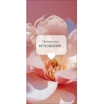 Открытка 0322.093 Прекрасных мгновений
