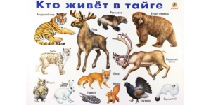 Животные/ Растения