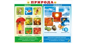 Окружающий мир