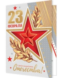 23 ФЕВРАЛЯ 2-71-23173