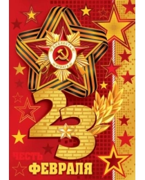 23 ФЕВРАЛЯ 7-01-23034