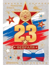 23 ФЕВРАЛЯ ( РФ ) 7-06-23101