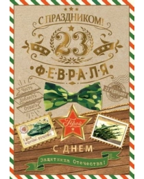 23 ФЕВРАЛЯ 7-06-23102