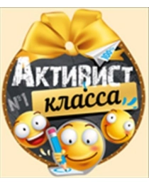 Активист класса 63,191,00