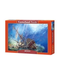 Пазлы Castorland  "2000" картина, арт. С-200252