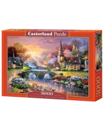 Пазлы Castorland  "3000" картина, арт. С-300419