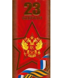 4602560000092 открытки (29869 23 Февраля! евро 105х210)
