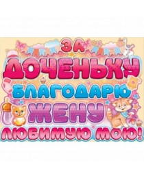 02,696,00 За доченьку благодарю жену любимую мою!