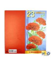 23 Февраля. С праздником!