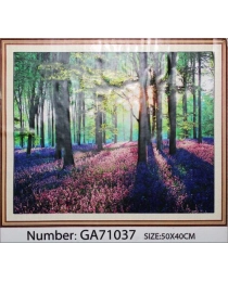 АЛМАЗНАЯ ЖИВОПИСЬ, 50*40СМ, GA71037