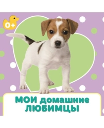 ЦК 145х145. МОИ ДОМАШНИЕ ЛЮБИМЦЫ