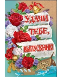 Удачи тебе, выпускник! 3200232