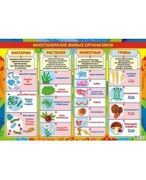 Плакаты А2 картон Биология ПОК-035