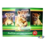 Альбом для рисования, Хатбер, А3, 40л, спираль, "В" 40А3Всп_16841