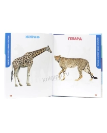ГЛАВНАЯ КНИГА МАЛЫША. ЖИВОТНЫЕ НАШЕЙ ПЛАНЕТЫ