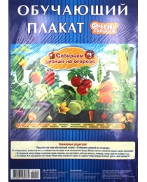 Дом открыток Плакат обучающий А-2 картон складка (Собираем урожай на огороде) 482009553076500006