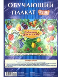 Дом открыток Плакат обучающий А-2 картон складка (Собираем урожай в саду) 482009553076500005