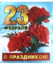 Виниловый магнит "23 Февраля. С праздником!"