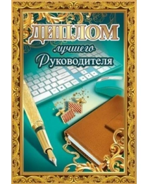 Диплом лучшего руководителя 15.11.00151