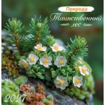 Календарь на скрепке (ПК) Природа. Таинственный лес ПК-27-055 Календарь на скрепке (ПК) Природа. Таинственный лес ПК-27-055