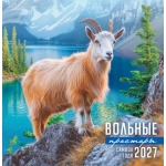 Календарь на скрепке (ПК) Символ года (фото). Вольные просторы ПК-27-006 Календарь на скрепке (ПК) Символ года (фото). Вольные просторы ПК-27-006
