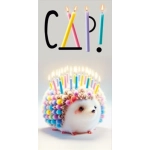 Конверт для денег "СДР!" 075.653 Конверт для денег "СДР!" 075.653