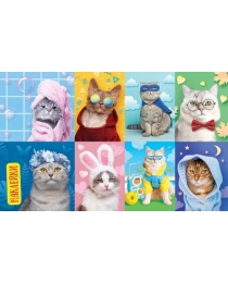 Наклейки (21 глиттер) НК Кошки. Забавные коты НК-1769