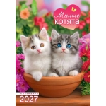 Календарь ригельный (РБ, в упаковке) Милые котята РБ-27-025