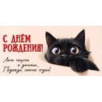 Конверт для денег "С Днём рождения! Лапы тянутся к деньгам..." 50002200