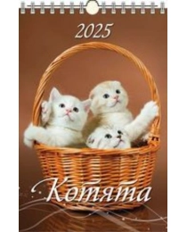 (0525015) (20%)"Котята"(320*480).К-рь наст.пер.с ригелем(2025) (4610138646856)