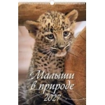 (0527029) (22%) "Малыши в природе" (320*480). К-рь наст.пер. с ригелем (2027) (4680613460291)