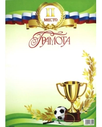 Свит позд. Грамота Спорт 2-е место ГД-0019